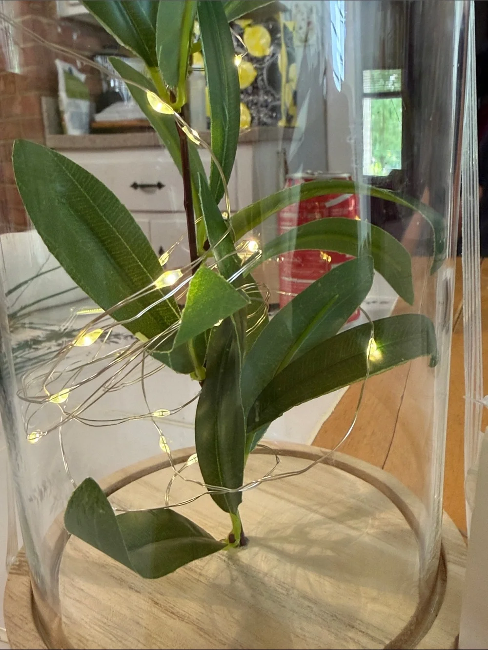 LED Glass Dome with Green Foliage - Unbranded
